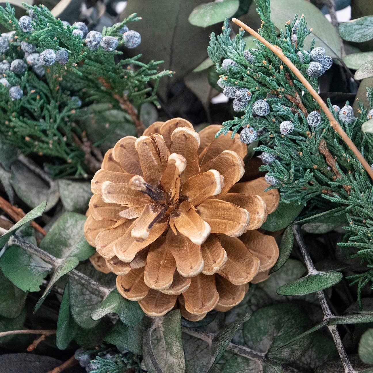 Fall to Winter Woodland Eucalyptus & Pinecone Wreath, 18"