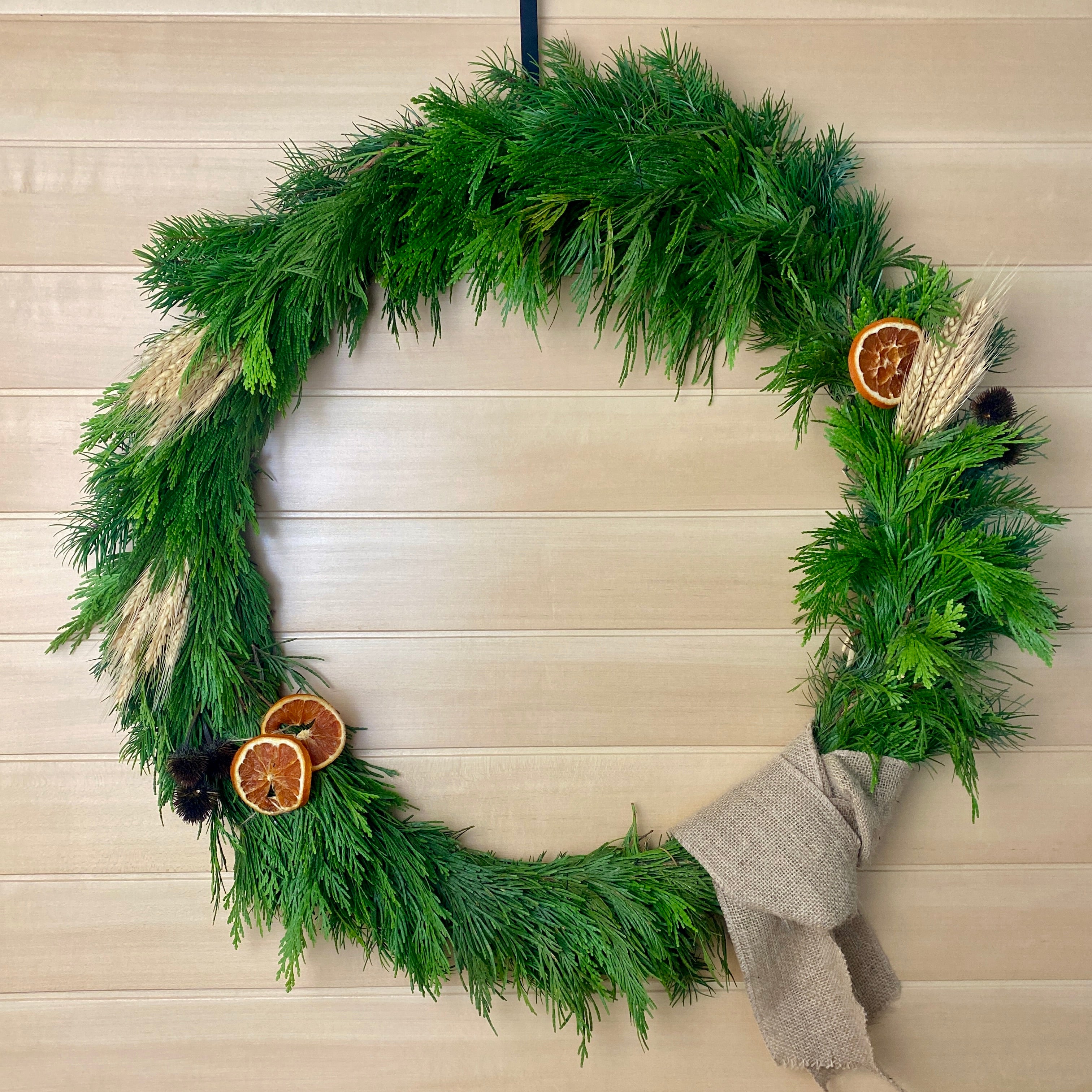 Echinacea, Dried Oranges, and Wheat Grass Evergreen Wreath, 12"