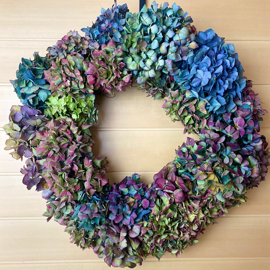 Dried Hydrangea Wreath on Grapevine Frame, 14"