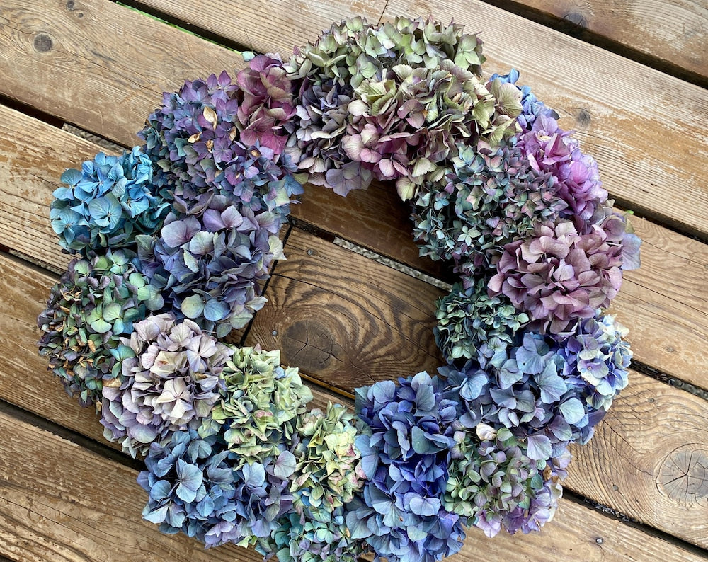Dried Hydrangea Wreath on Grapevine Frame, 14"